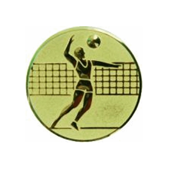 Эмблема: Волейбол на самоклеющейся основе