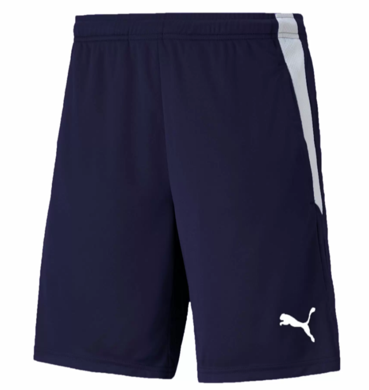 Шорты PUMA TEAMLIGA JS