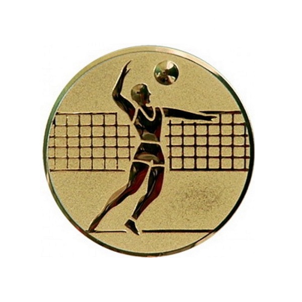 Эмблема металлическая: Волейбол мужской