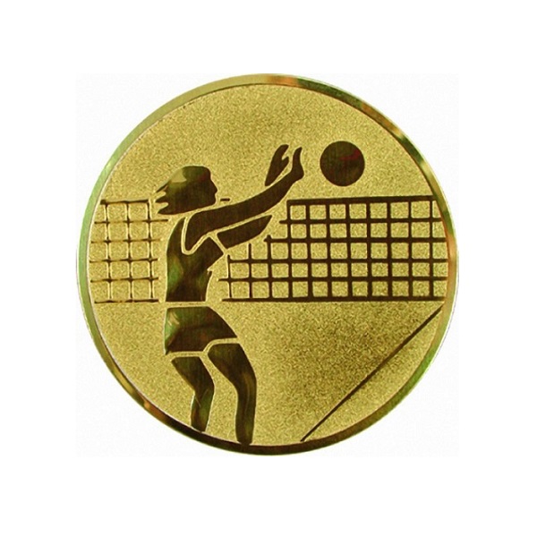 Эмблема металлическая: Волейбол женский