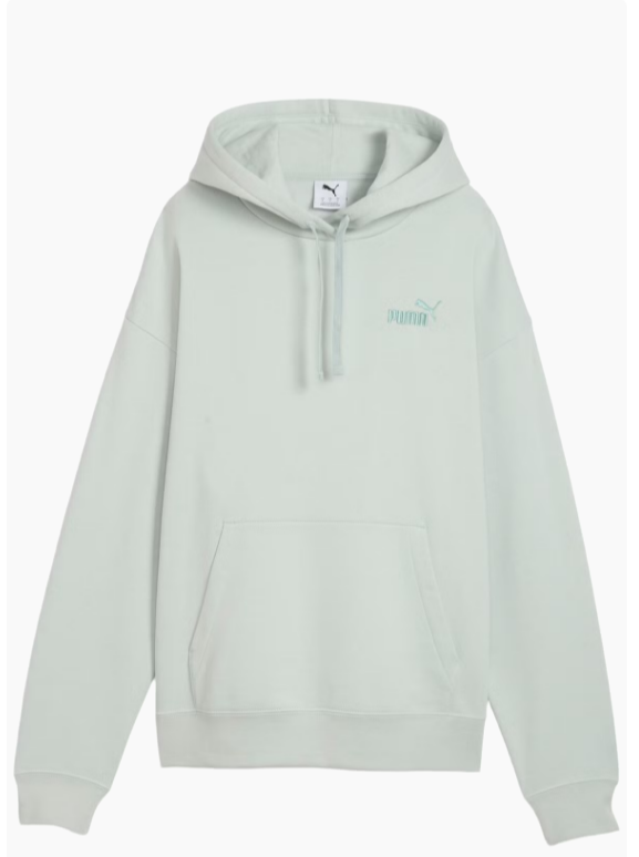 Толстовка PUMA ESS SMALL NO. 1 LOGO COMFORT HOODIE FL 