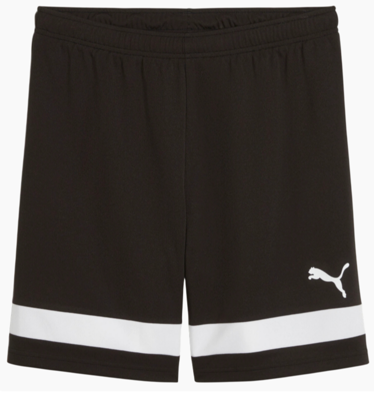 Шорты PUMA INDIVIDUALRISE 