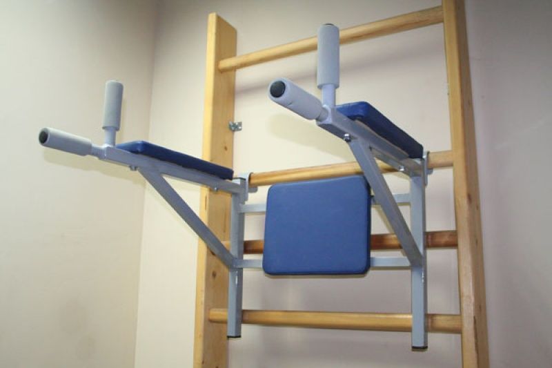 Брусья на гимнастическую стенку со спинкой