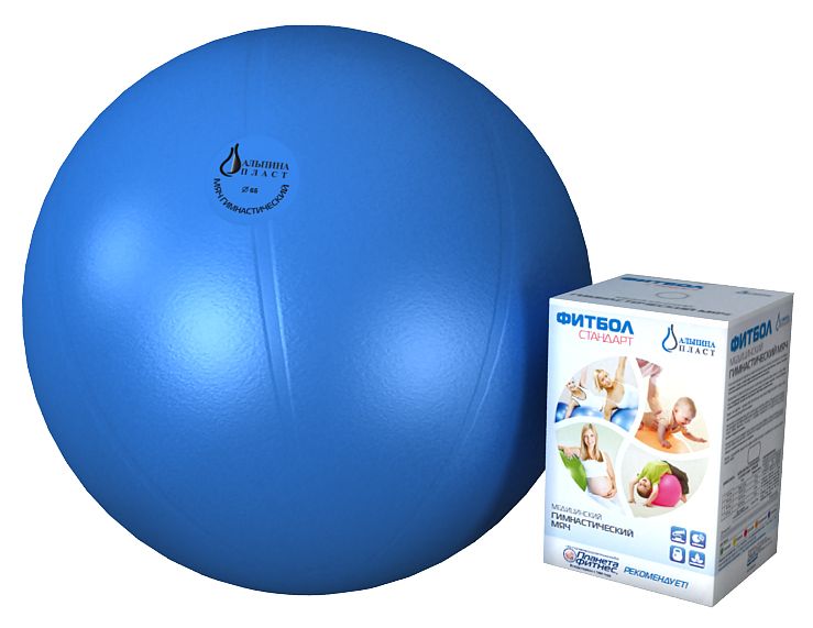 Мяч гимнастический Альпина Стандарт 75см 300 кг