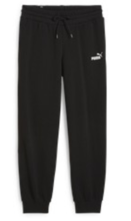 Брюки PUMA ESS+ SMALL LOGO HW FT 