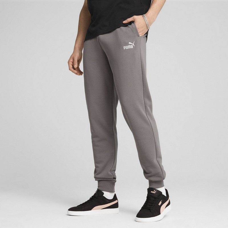 Брюки PUMA ESS NO. 1 LOGO CL FT