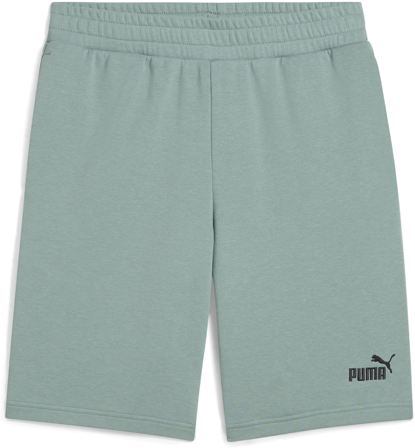 Шорты PUMA ESS NO.  LOGO 10" FT
