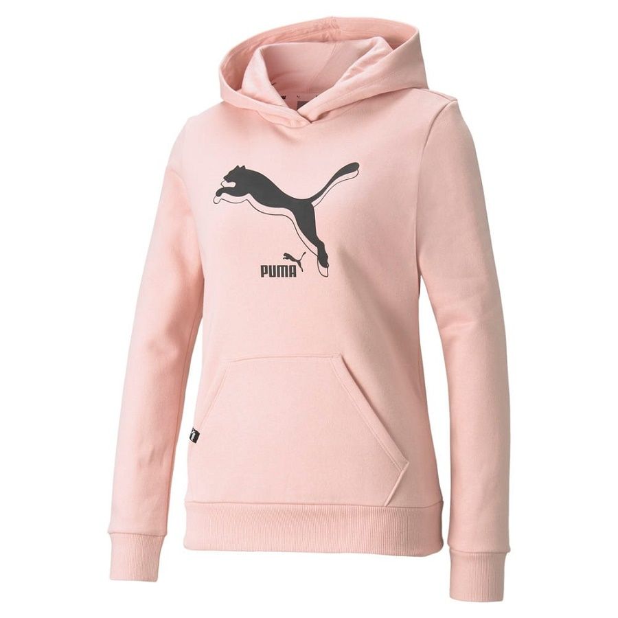 Толстовка PUMA POWER LOGO